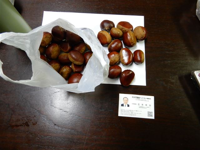 画像の説明
