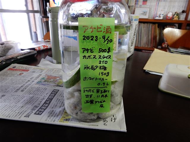 画像の説明