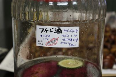 画像の説明