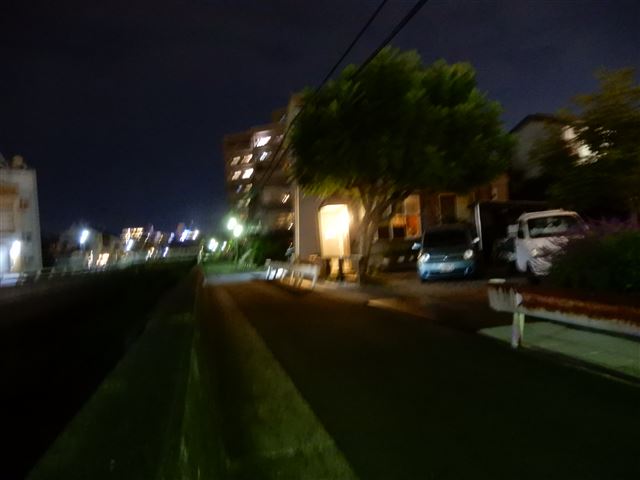 画像の説明