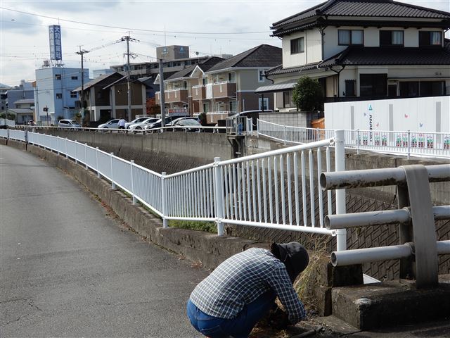 画像の説明