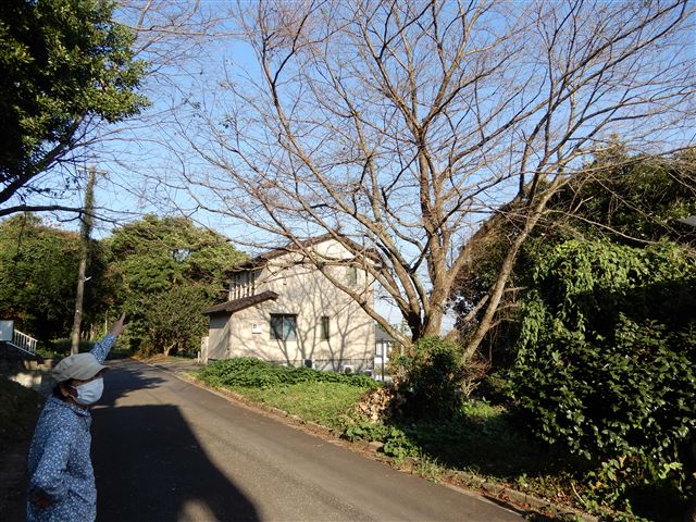 画像の説明