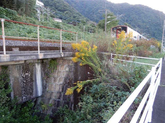 画像の説明