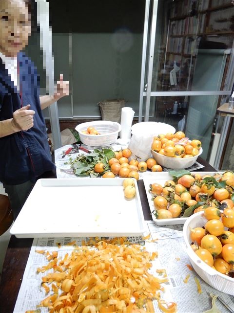 画像の説明