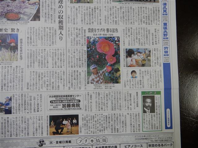 画像の説明