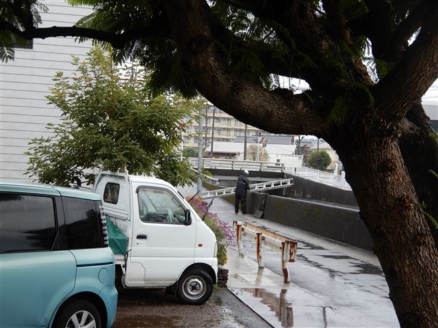 画像の説明