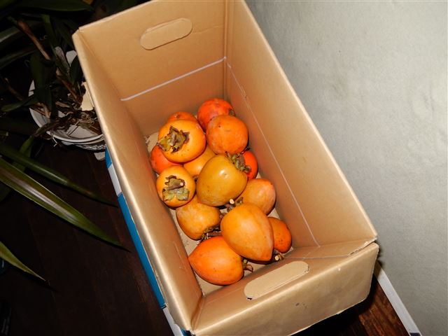 画像の説明
