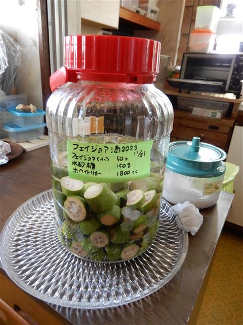 画像の説明