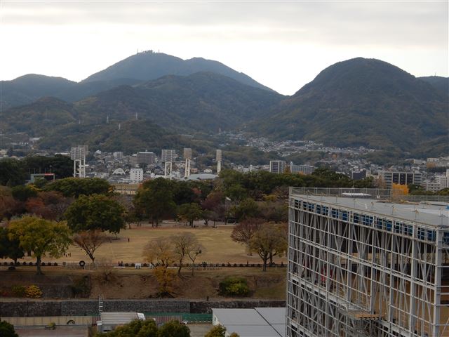 画像の説明 画像の説明