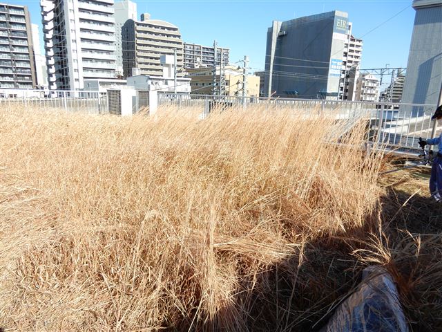 画像の説明 画像の説明
