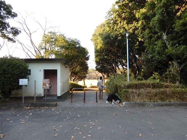 画像の説明 画像の説明