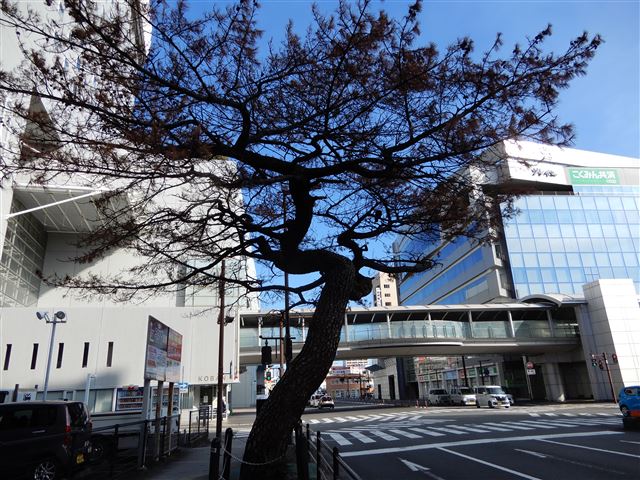 画像の説明 画像の説明