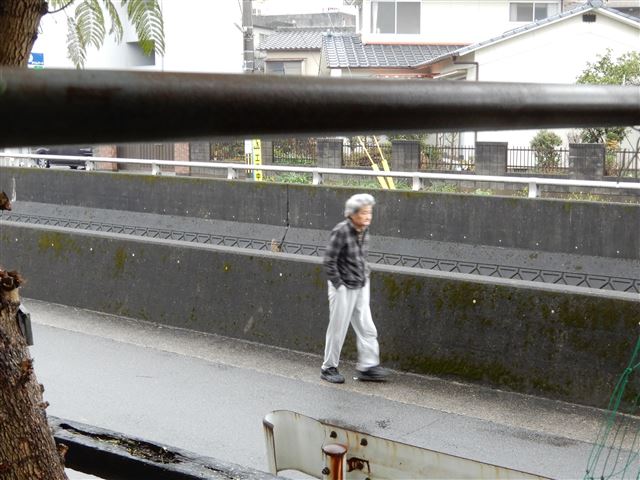 画像の説明 画像の説明