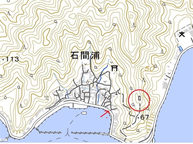 画像の説明