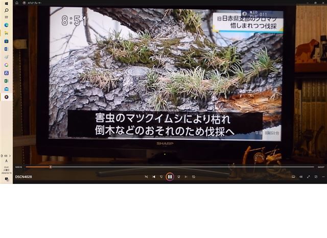 画像の説明