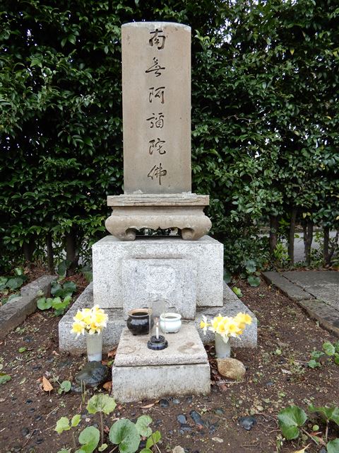 画像の説明