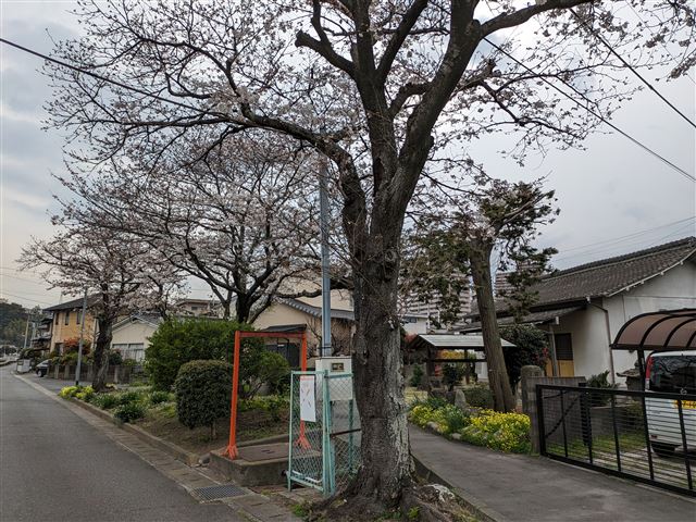 画像の説明