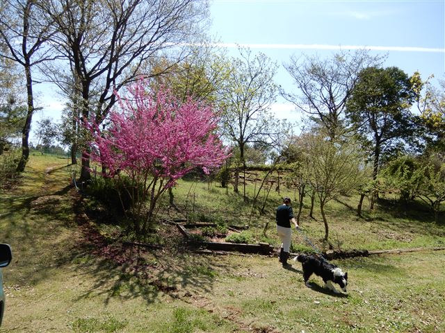 画像の説明