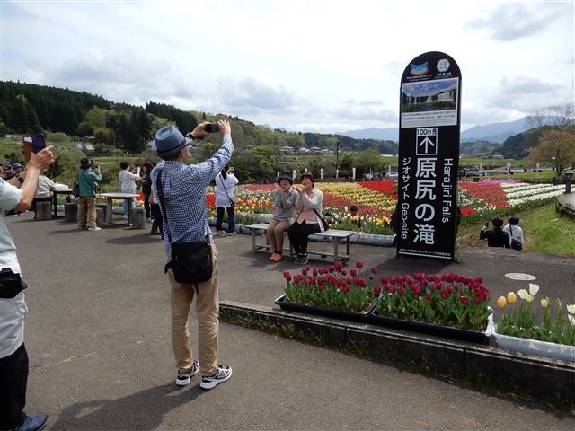 画像の説明
