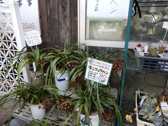画像の説明
