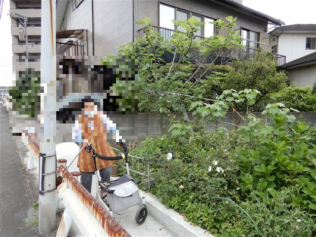 画像の説明