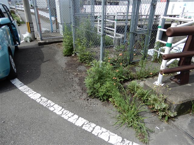 画像の説明