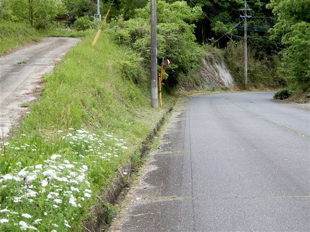 画像の説明