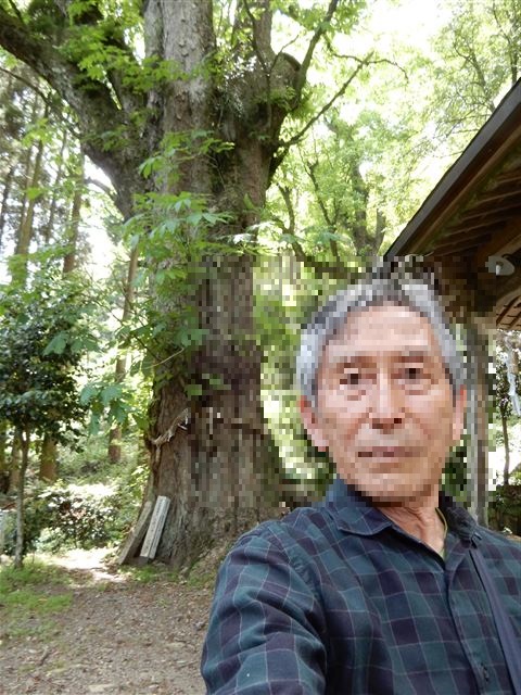 画像の説明
