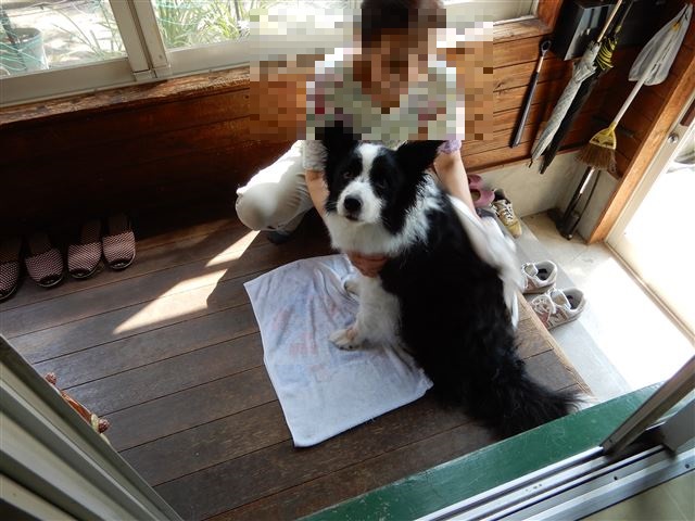 画像の説明