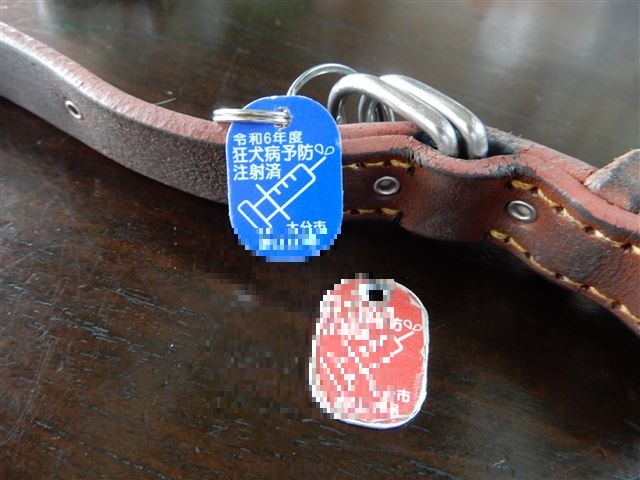 画像の説明