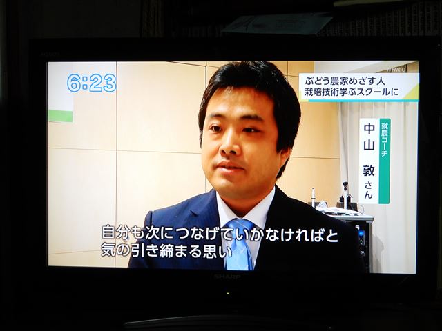 画像の説明