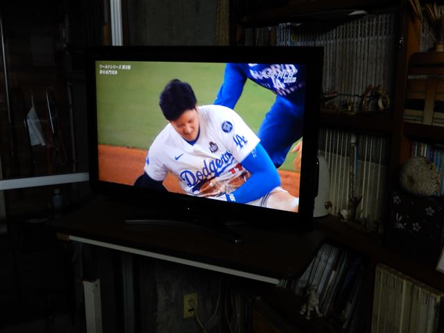 画像の説明