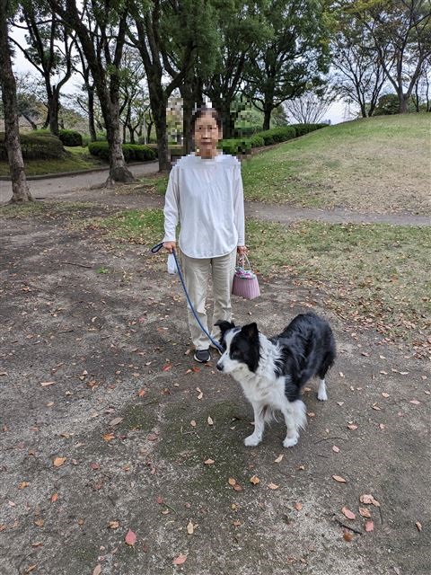 画像の説明