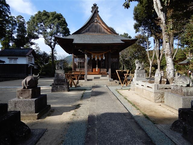 画像の説明 画像の説明