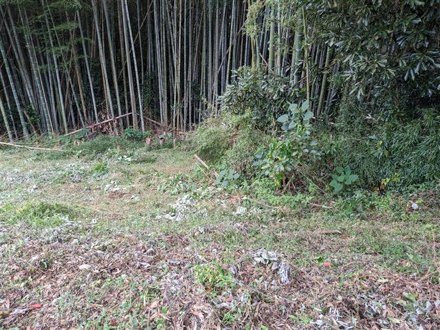 画像の説明 画像の説明