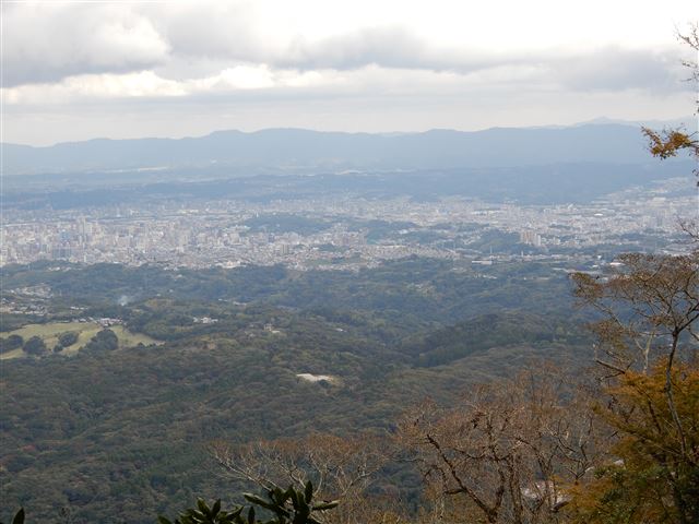 画像の説明