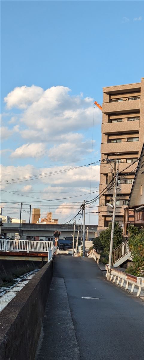 画像の説明