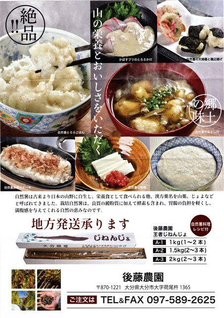 画像の説明