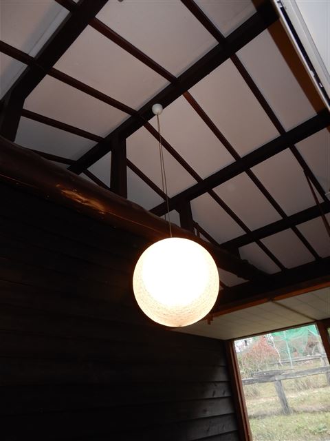 画像の説明