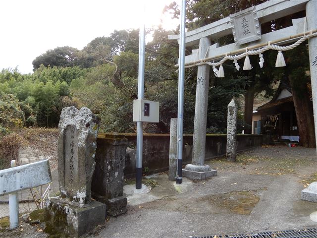 画像の説明