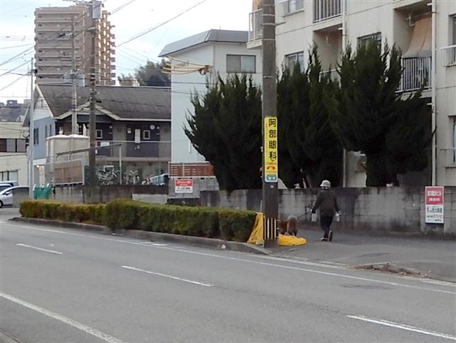 画像の説明