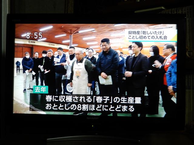 画像の説明 画像の説明
