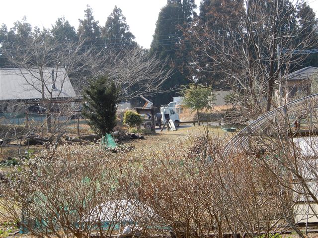 画像の説明