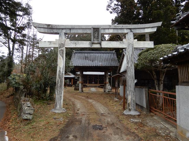 画像の説明