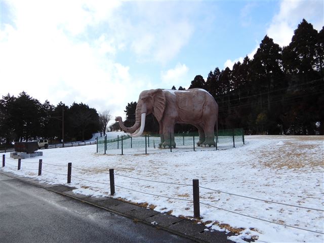 画像の説明