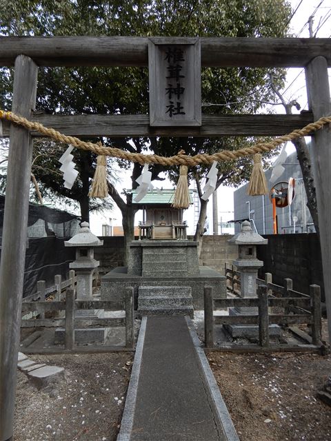 画像の説明