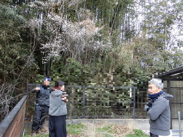 画像の説明