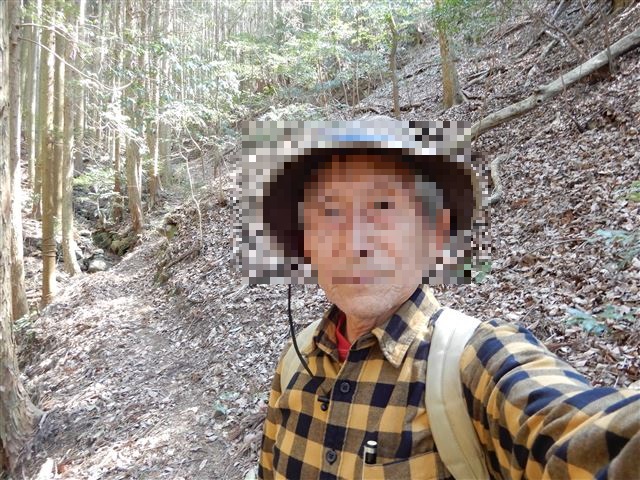 画像の説明