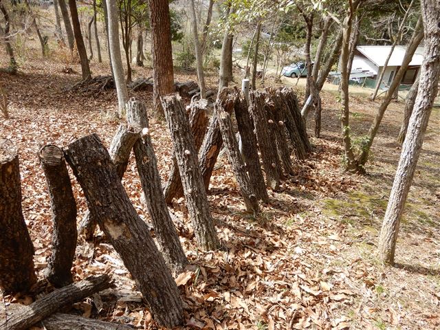 画像の説明