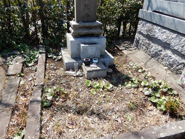 画像の説明
